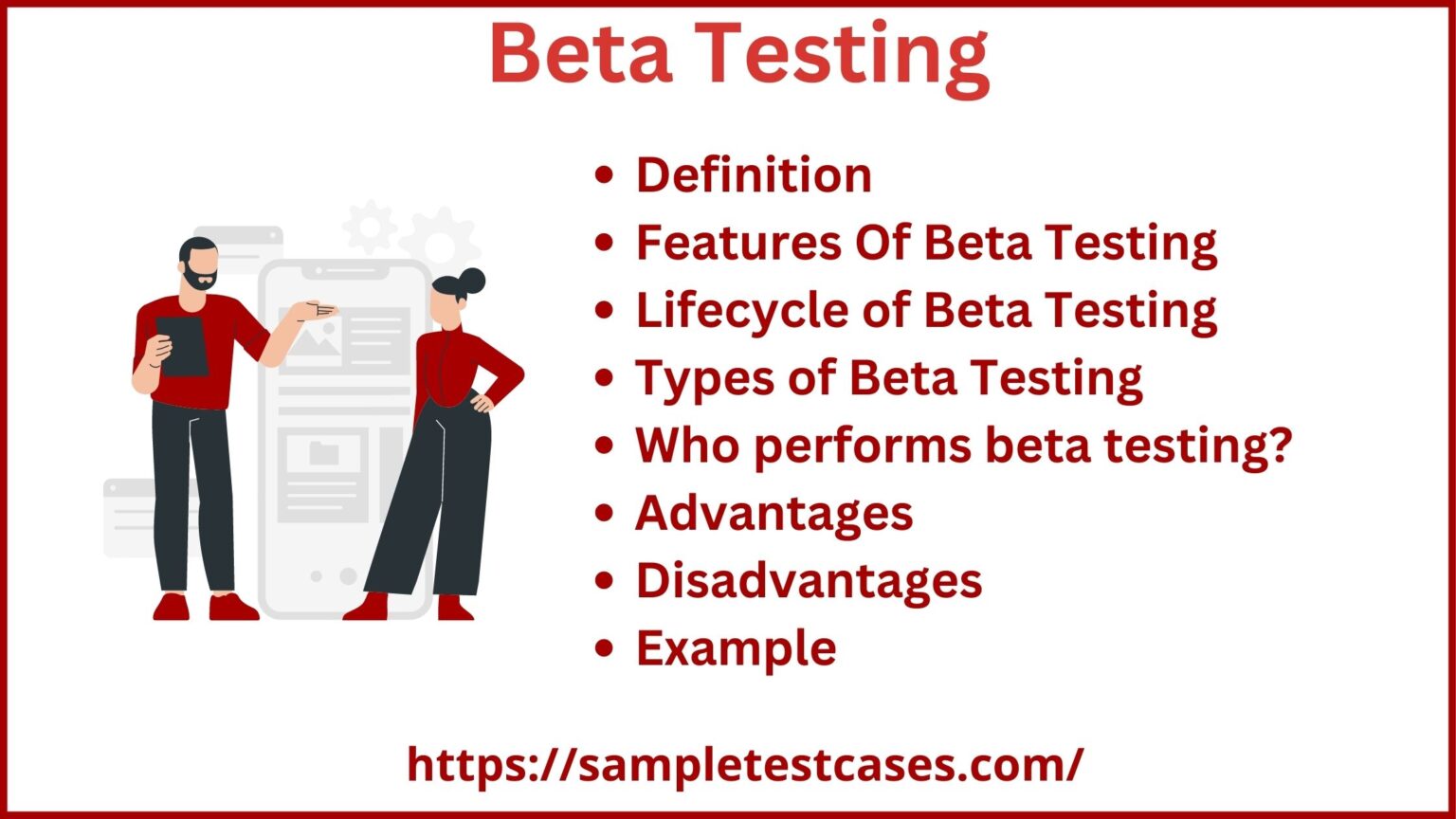 Beta Testing Objectives at Netcarlyblog Blog