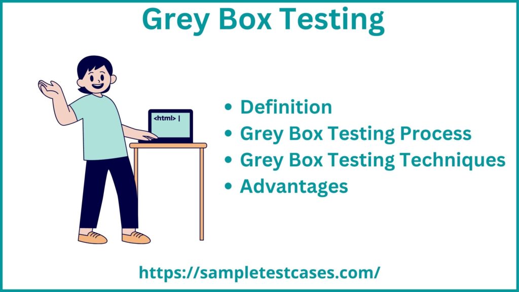 grey box testing